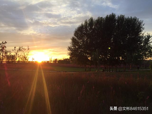 大家能否把手机拍摄的逆光晚霞照片分享出来?