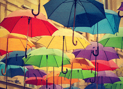 伞 雨伞 481_348 gif 动态图 动图