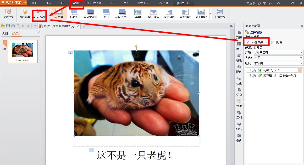 设置自定义动作,可以按顺序显示文字,图片.设置插入动 ..