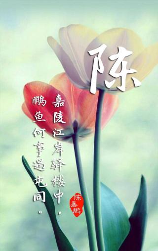 姓氏爱情锁屏肿么改姓