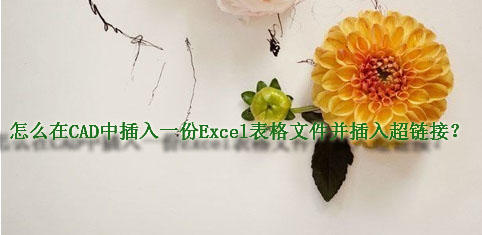在CAD中插入一份Excel表格菜单并分栏超cad区插入和栏文件标题图片
