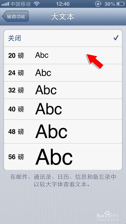 如何设置iphonese系统字体大小