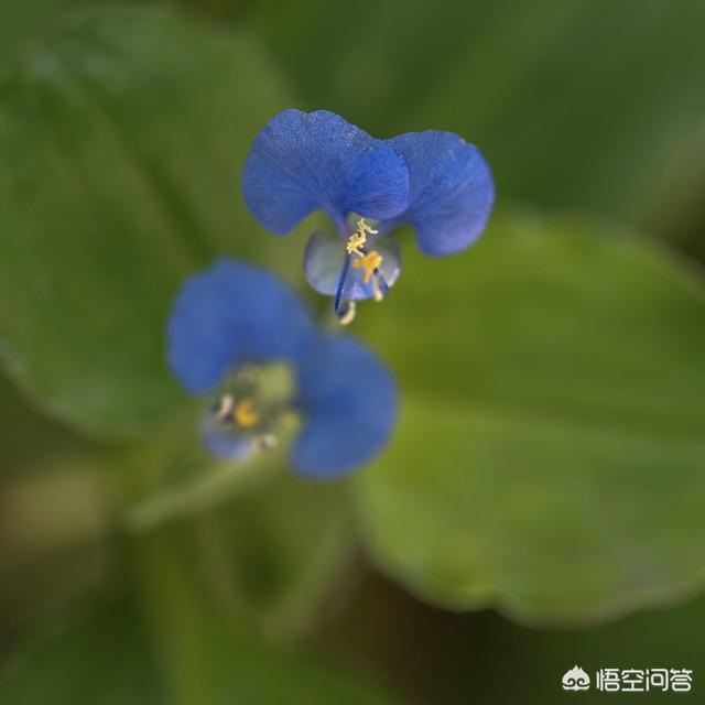 ChMlWlx1AmKIG68uAABHCxyDP_IAAIdPAFW1jMAAEcj820.jpg
