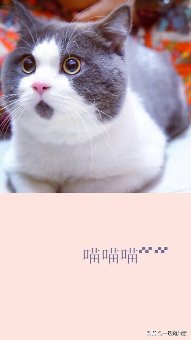 想知道目前3dmax与c4d哪个就业的前景好?