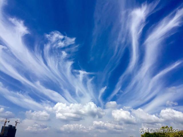 你们拍到过最特别形状奇特轻柔如丝的白云照片吗能否发出来欣赏下