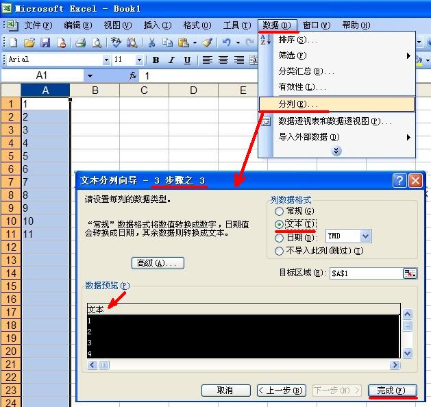 EXCEL表格中数字要求改为文本格式,但是格式变成文本格式却出现+号无奈