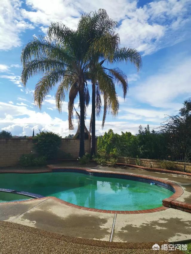 为什么有人说华为手机的拍照功能不像苹果手机