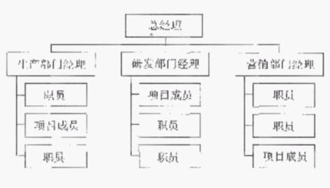 项目型组织结构的解决方案