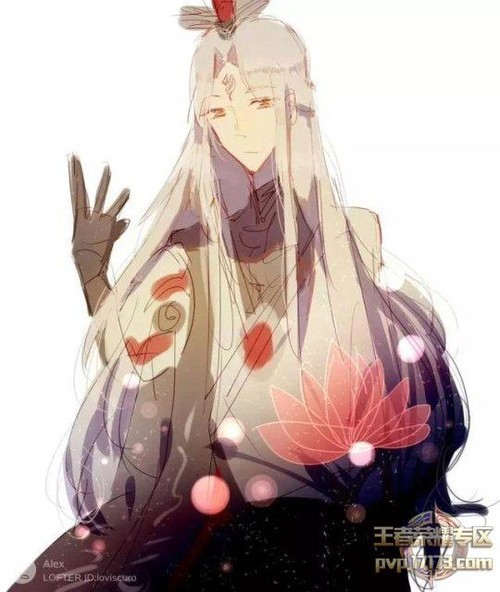 王者荣耀s8赛季哪个英雄打排位最好