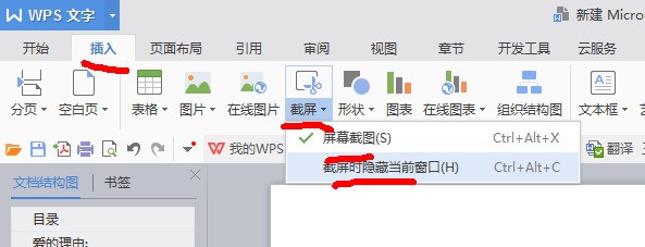 网页文章复制到WPS word里,图片显示不出来。(不是图片框的問題)