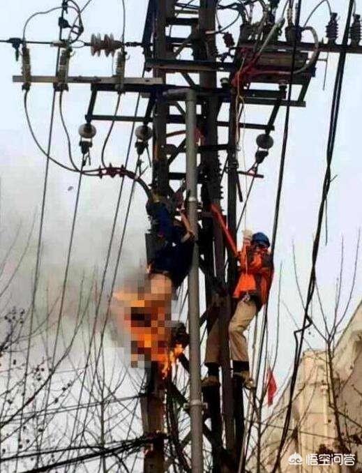 你觉得电力板块的股票还会因为政策上涨吗?为