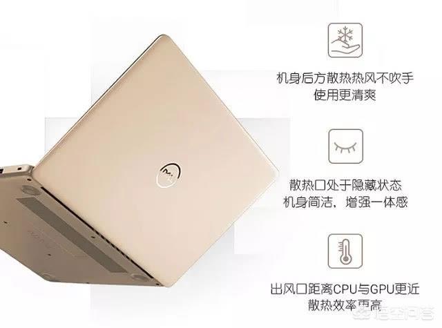 戴尔排名_卡门·戴尔·奥利菲斯