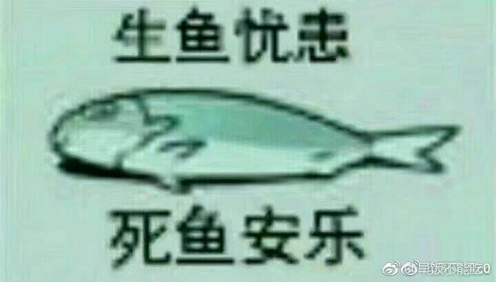 ChMkJ1oQNsKIcqNQAABgq3dHpXIAAiRtgHotMoAAGDD140.jpg
