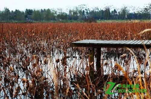 购买单反相机时如何验机