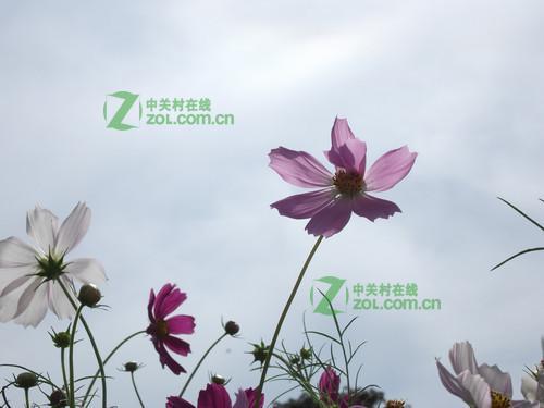 富士S2900 HD画质怎么样？