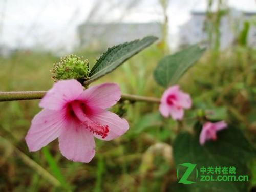 为什么索尼WX7拍出来的效果不好