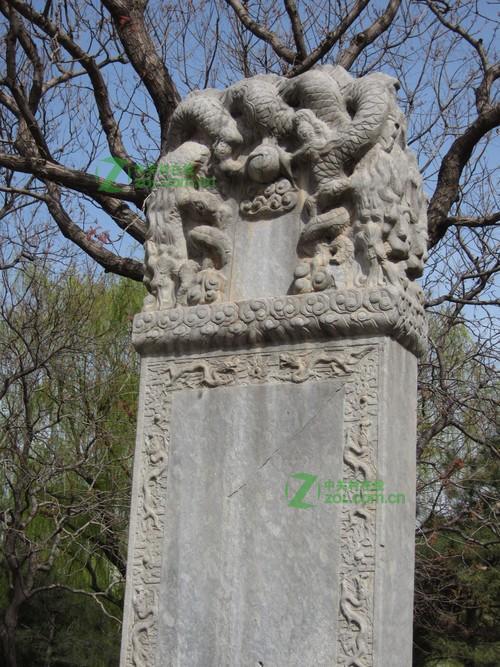 佳能IXUS 310 HS色彩还原效果怎么样？
