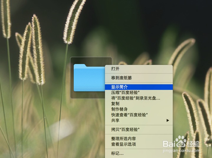 在Mac OS X系统中如何更改文件和文件夹图标