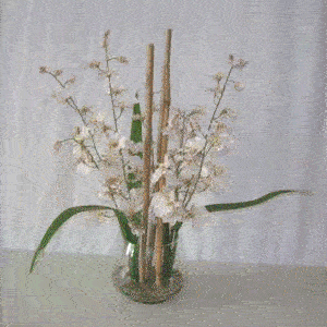 实况2016和实况2017哪个更好