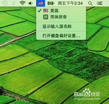 苹果,Mac 系统,哪个五笔输入法,有拼音输入功能。急