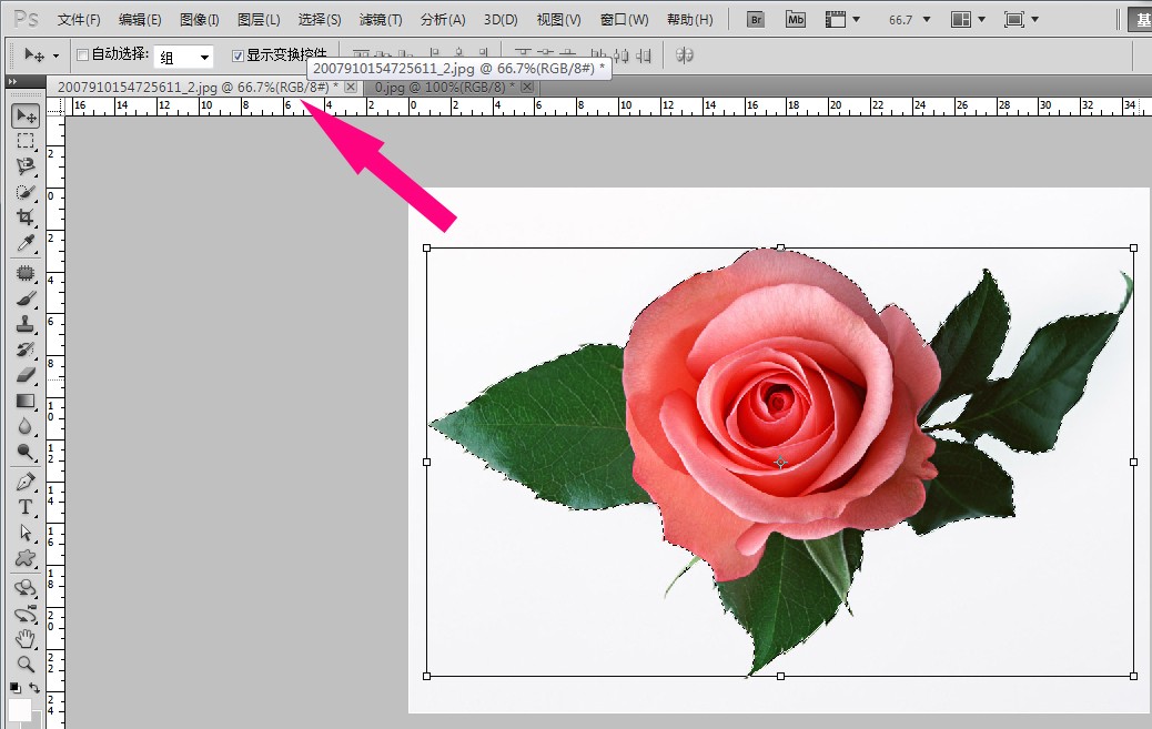 ps肿么把套索后的图片剪切下来