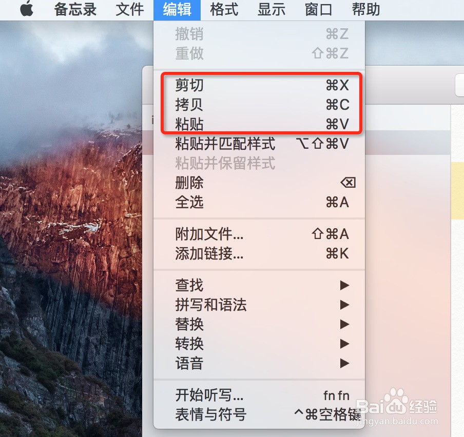 mac怎么复制粘贴剪切
