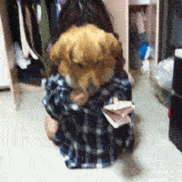 ChMkJlo8FUuIL7zJAATkhke_hHYAAjX9QNwP1cABOSe124.gif