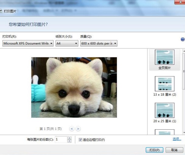 用打印机怎么打印2寸的相片相片