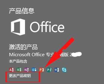 office2013 professional plus 肿么激活???