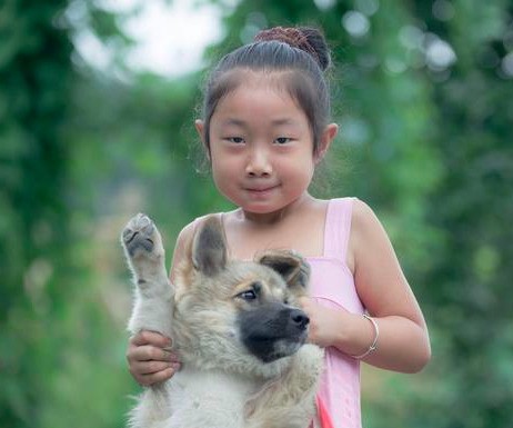 有哪些高性价比广角变焦镜头或定焦镜头推荐?