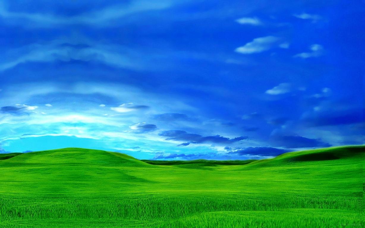 Windows XP主题桌面高清晰壁纸欣赏-搜狐数码天下