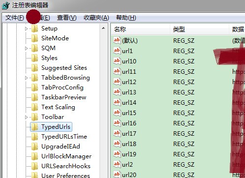 注册表里的Internet Exnlorer的子菜单TypedUrls是什么意思啊