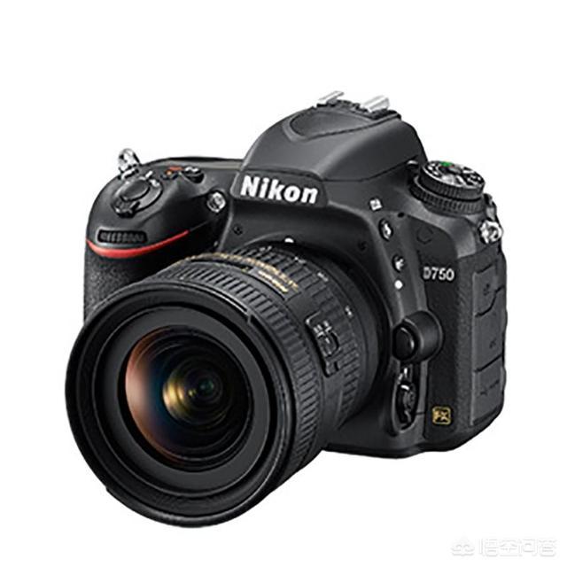 相机宽容度排名_相机宽容度(3)