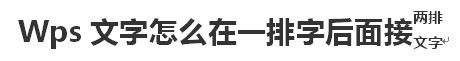 wps word肿么在一排字后面接两排字