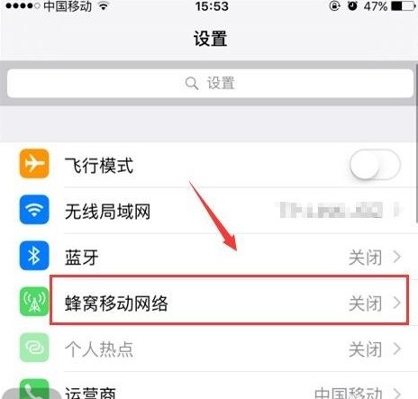 苹果手机carrier是什么意思