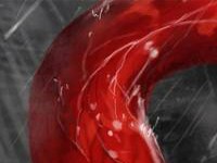 相片墙怎么固定到墙上