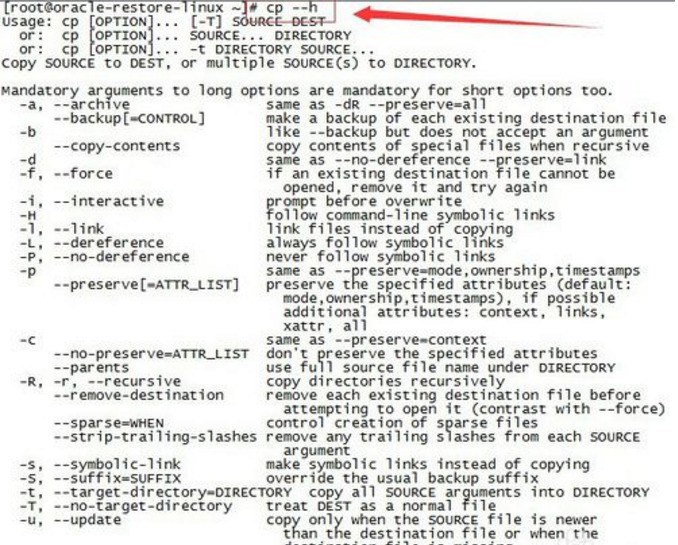 linux中肿么拷贝文件到指定目录下?