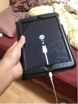 ipad插上充电器后老有个苹果标志一闪一闪的什么状况