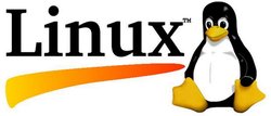 怎么查看linux能够安装php的版本