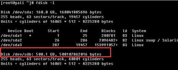 linux中为何插上两块新硬盘后用fdisk -l命令看不到新增的硬盘?