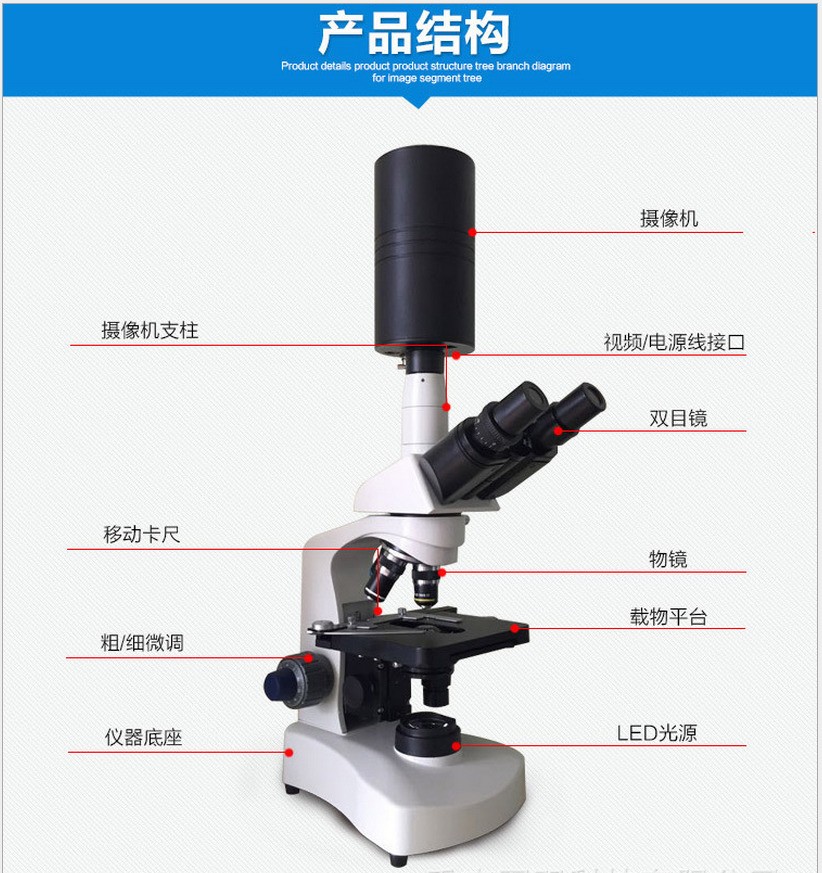 防血栓机器是什么原理_血栓是什么样子的图片(2)