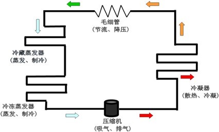 冰箱的压缩机、冷凝机、蒸发机、线路板等都在冰箱的那个部位