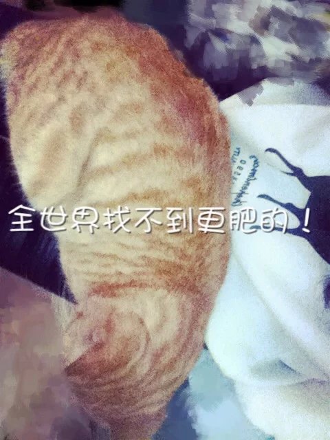 ChMkJ1pPVAaICNfnAAD6njISMt4AAj2YwKrCMMAAPq2533.jpg