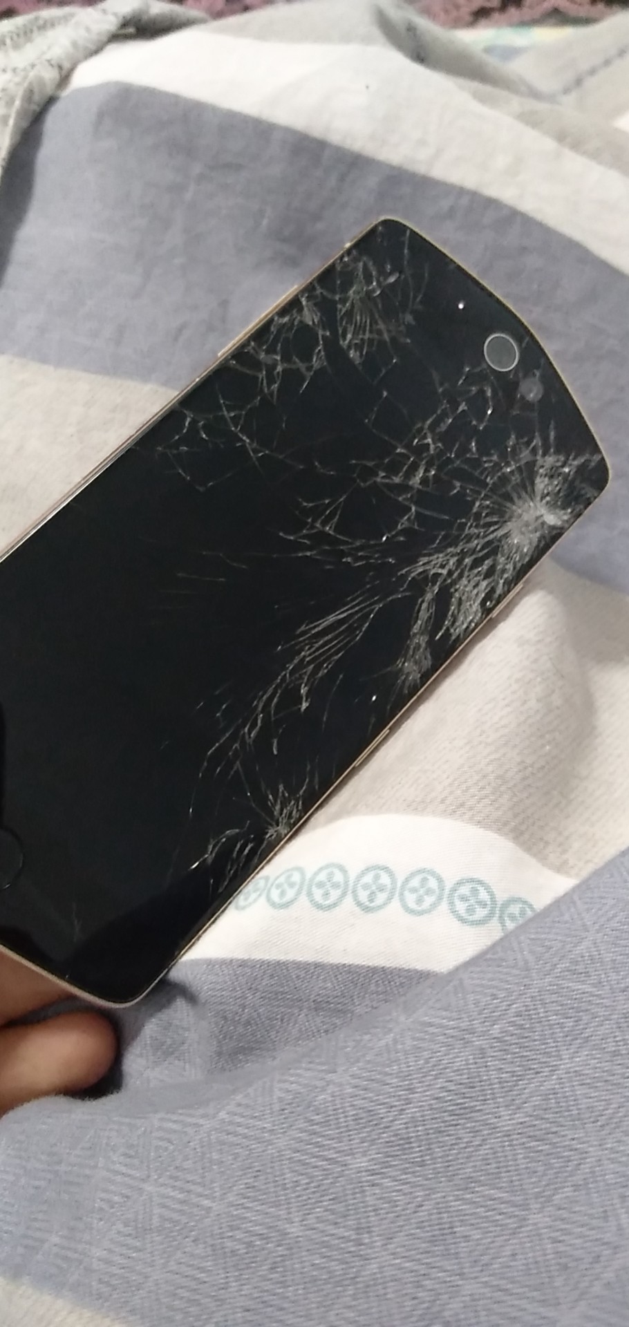 我手机内屏坏了换一个内屏需要多少钱