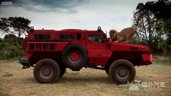 XAara是哪个品牌下的什么类型的车?