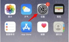 图1