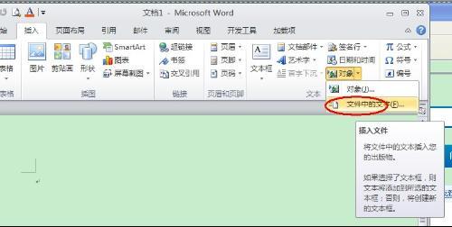 office2010,插入到Word文档中的图片不显示的起因