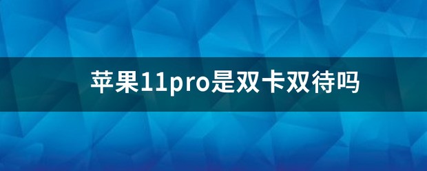 苹果11是双卡双待吗？