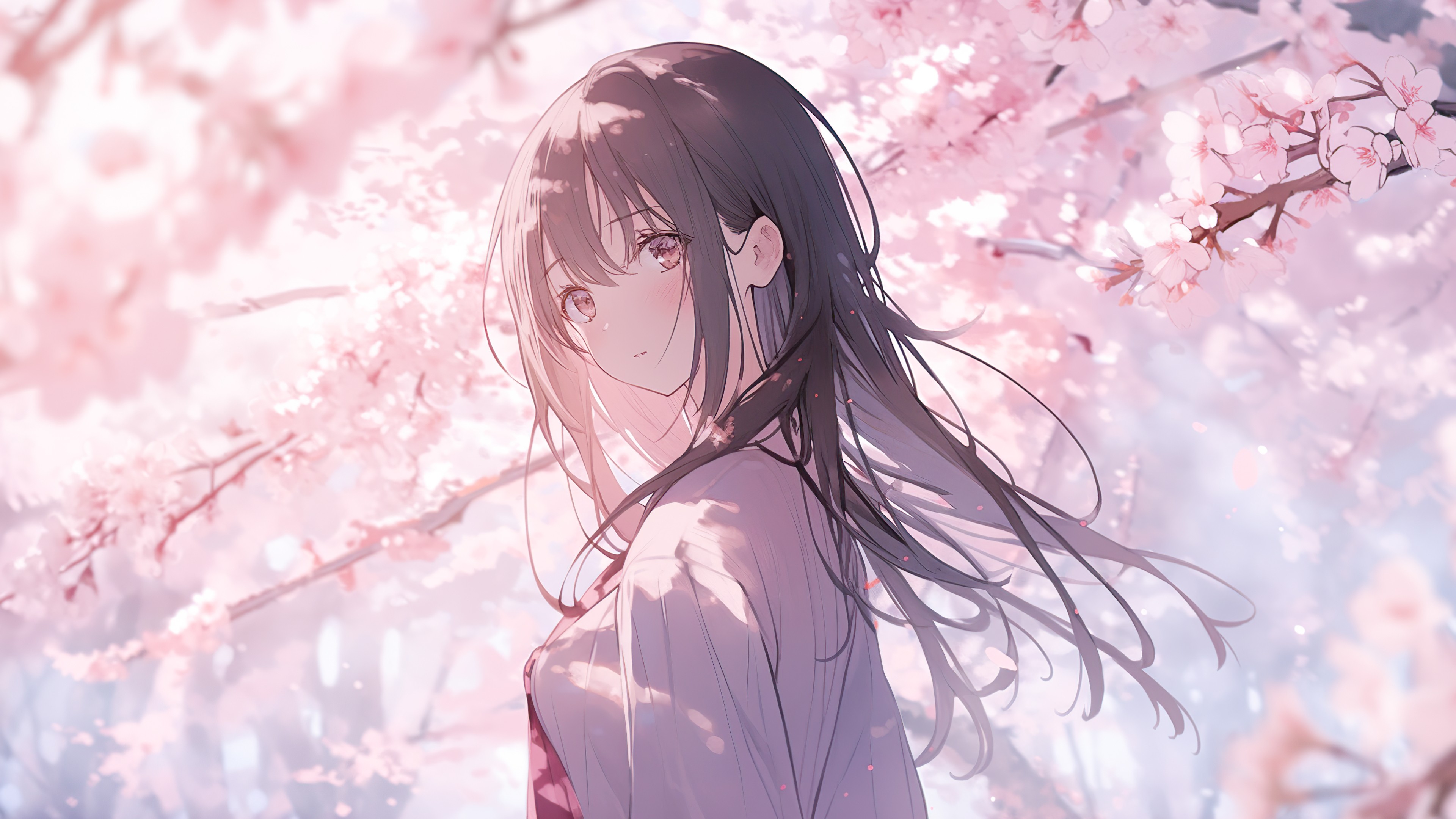 樱花动漫第二季完整版