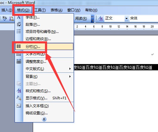 word2003页来自面排版问题,想一页里面分开两边.像词典里面那样